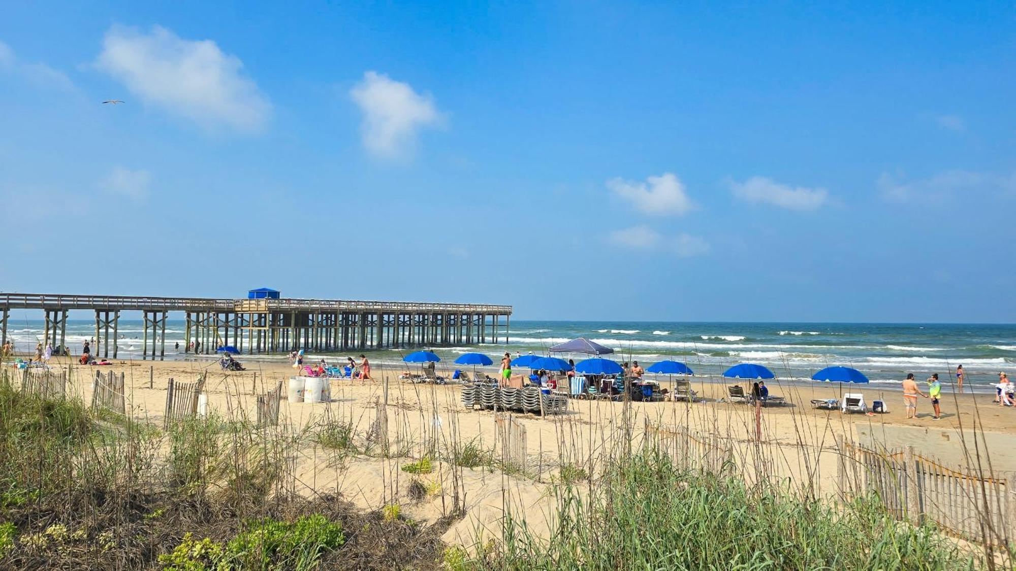 Herons Haven Coastal Elegance With Pool Access 223 South Padre Island Zewnętrze zdjęcie