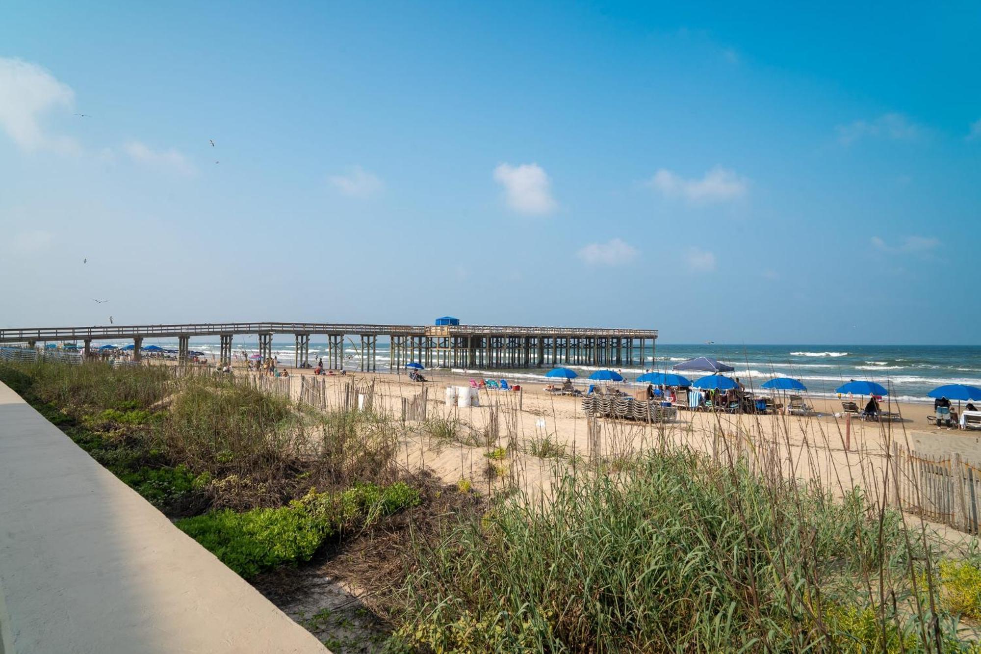 Herons Haven Coastal Elegance With Pool Access 223 South Padre Island Zewnętrze zdjęcie